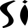 Salon Industry Inc