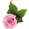 Beauty Salon Lejdis- Zone