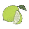 Salt & Lime