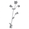 Salt & Wildflowers