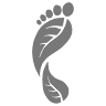 Salt Spring Footprints