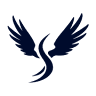 Salus Brasil