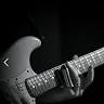 Salvi's Fine Guitars