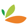 Salzachblume