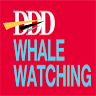 DDD Whale Watching Tour
