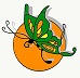 SAM INFORMATICA 2005 SLL