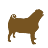 Sam's Cats & Dogs Naturally