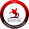 SAMSUN YATIRIM İZLEME VE KOORDİNASYON BAŞKANLIĞI