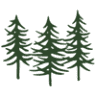 Samuel Cedars