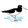 Sandpiper Heating & Air Conditioning