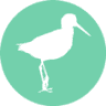 Sandpiper on Smiths Lake