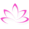 Dikesh B Patel CPA
