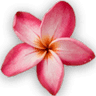 Soothe Your Soul Healing Arts Studio