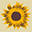 Saratoga Organics & Hydroponic Supply
