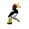 Sarawak Tourism Federation (STF)
