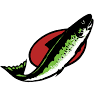 The Sardine Factory