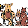 Sarina Veterinary Surgery-Dr Rebecca Bannan