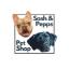 Sash & Pepps Ltd
