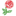 Agenzia Immobiliare Savoia