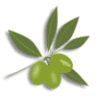Savor the Olive