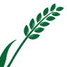 SAYSAN DIŞ TİCARET LTD. ŞTİ.