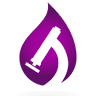 The Medical Foundation