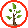 S.C.CENTER