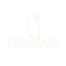 Scallow Caravan and Campsite - East Hoathly