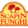 Scapin Funghi s.r.l.