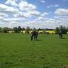 South Cambridgeshire Equestrian Centre