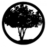 Shore Christian Fellowship
