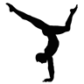 Santa Cruz Gymnastics