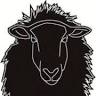 Schwarzes Schaf