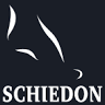 Schiedon Orthopedic Shoe Technology