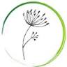 Schoone Flowers and More