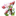 Schoonheidssalon Bellefleur