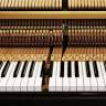 Schumacher Piano Service