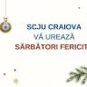 Emergency County Hospital Craiova