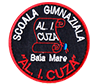 Alexandru Ioan Cuza Middle School