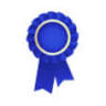 Scoggin Blue Llc