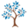 The ScoliClinic