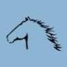 Scone Equestrian Centre
