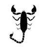 SCORPION HOUSE