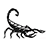 Scorpion Window Tinting