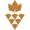 S.C Selección