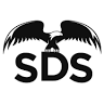 S.D.S. Sistemi Digitali Di Sicurezza