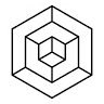 Scandinavian Executive Institute