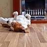 Seamless Dean Flooring