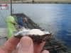 SeaPerfect Pty Ltd