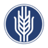 Seasalt Sourdough Bakery - WHOLESALE